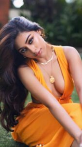 Anu Emmanuel Tamil Film Industry Challenges